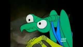 Space Ghost C2C Warren - "Nice Bush"