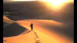 Maximum Stamina-Desert Wind