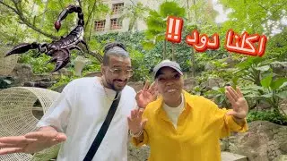 طحنا في يد مجموعة تايلنديين بهدلونا