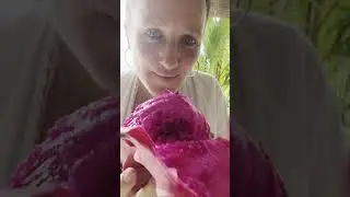 Die grösste Drachenfrucht