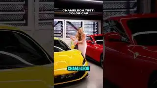 Luxus Schlitten und Chamäleon 👉 Follow @jetcar.ru on IG