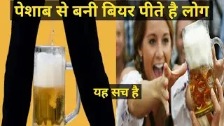क्या आप भी पेशाब से बनी बीयर पीते हो || Does Beer Contain Urine || Kya Beer me peshab hota hai ||