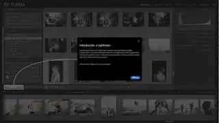 Lightroom CC Classic, Interfaz