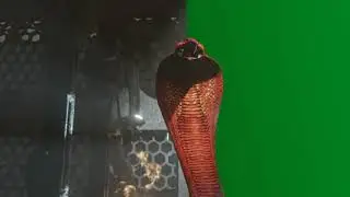 Naagin 5 Bani Animation Treaser || snake green screen