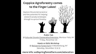 Mark Krawczyk & Steve Gabriel discuss coppice and pollarding