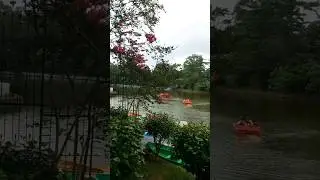 Wards lake , Shillong, Meghalaya #shorts #wardslake