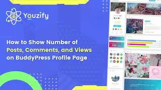 How to Show the Number of Posts, Comments, and Views On the BuddyPress Profile Page