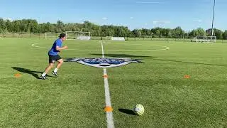 T-Agility Training