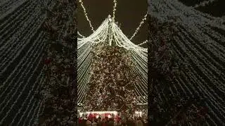 С наступающим Новым годом!