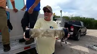 Redfish Invasion of the Indian River Lagoon.