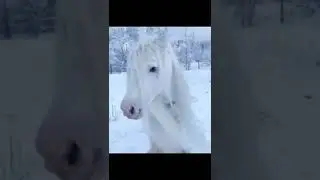 Какая красивая сура