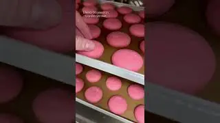 Macarons ❤️ #reels #trend #macarons#macaron