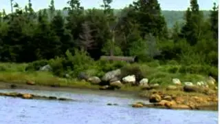 A Short History of Gambo