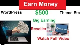 How to earn money with WordPress Themes and Plugins | Blogging Online