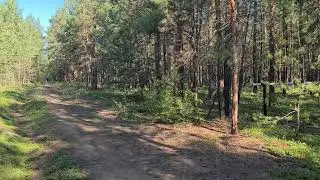 На трассе 