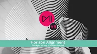 Horizon Alignment in Mistika VR