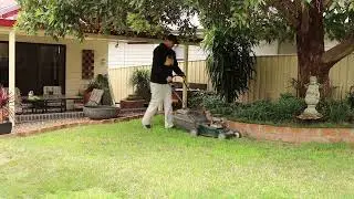 Lawnmower REVERSE FOOTAGE unmowing the lawn