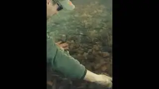 Нерест лосося, или другие приключения айфона))
