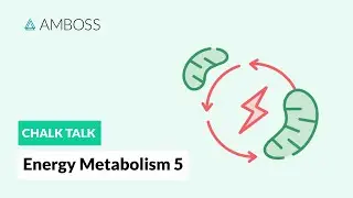 Energy Metabolism - Part 5: Beta-oxidation Reactions with molecular structures