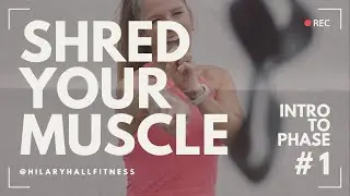 SHRED YOUR MUSCLE (SYM) | INTRODUCTION
