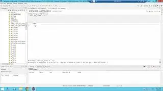 15_1 Native SQL