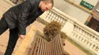 3_визитка_конец.avi