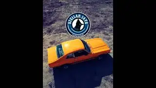 '1000 miles' lyric video by Stellar Jays from their debut album, Early Winters