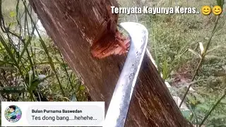 Mencoba Golok Serbaguna
