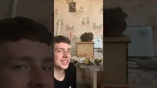 всем бы таких друзей🤣 #youtubeshorts