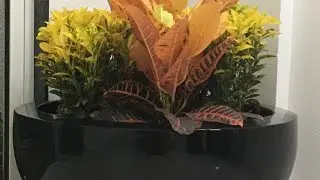Planters