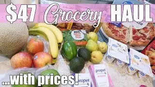 $47 Pre-Vacation Baby Sized Grocery Haul | Walmart Grocery Haul