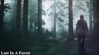 Photoshop manipulation (Tutorial) : Lost In A Forest | Photoshop cc 2014