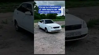 Когда ты в бункере и тебя просто так отпустили ГАИшники… 