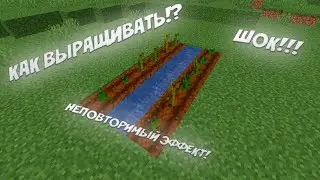 КАК ВЫРАЩИВАТЬ ТРАВКУ В МАЙНКРАФТ