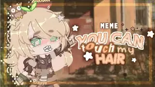 ✧.* i like u【 meme 】!°