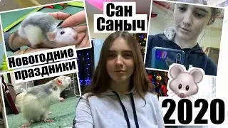 Новогодние праздники // Крыса Сан Саныч // 2020 год