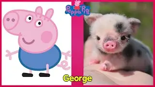Peppa Pig Characters in Real Life 2022.Funny Peppa Pig.