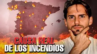 FIRES 🇪🇸: NEITHER ARSONISTS NOR CLIMATE CHANGE ❌