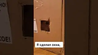 Дом для кошки #кошки #shorts