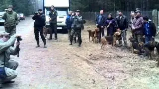 Беларускi ганчак
