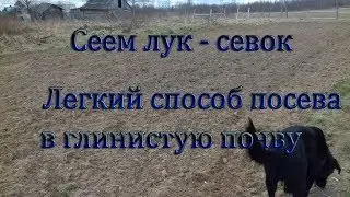 Как сажать лук севок в глинистую почву