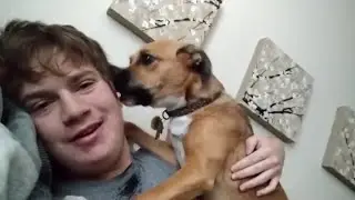 A Saturday Morning Howl