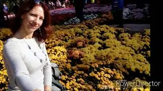 Бал Хризантем.  Ялта никитский ботанический сад 2019г