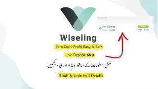 Wiseling Full Detail Live Deposit | Wiseling.com Review | Invest Protector | Earn Real Money