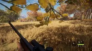 Beginner's Tip's + hunting| The Hunter, Call of the Wild | 1080p 60fps