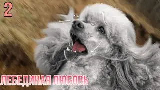 Лебединая любовь 2 серия шляйх сериал