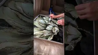 Создаю зеркальные картины для Ваших стен. 