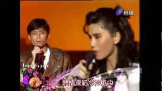 王傑 葉歡 你是我胸口永遠的痛 棚內版