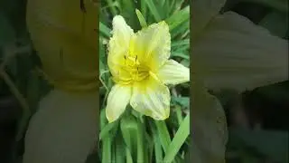 мой телефон новый