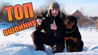 Лучший ОШЕЙНИК для РОТВЕЙЛЕРА. Нагружаем 92 кг, проверка на ПРОЧНОСТЬ!